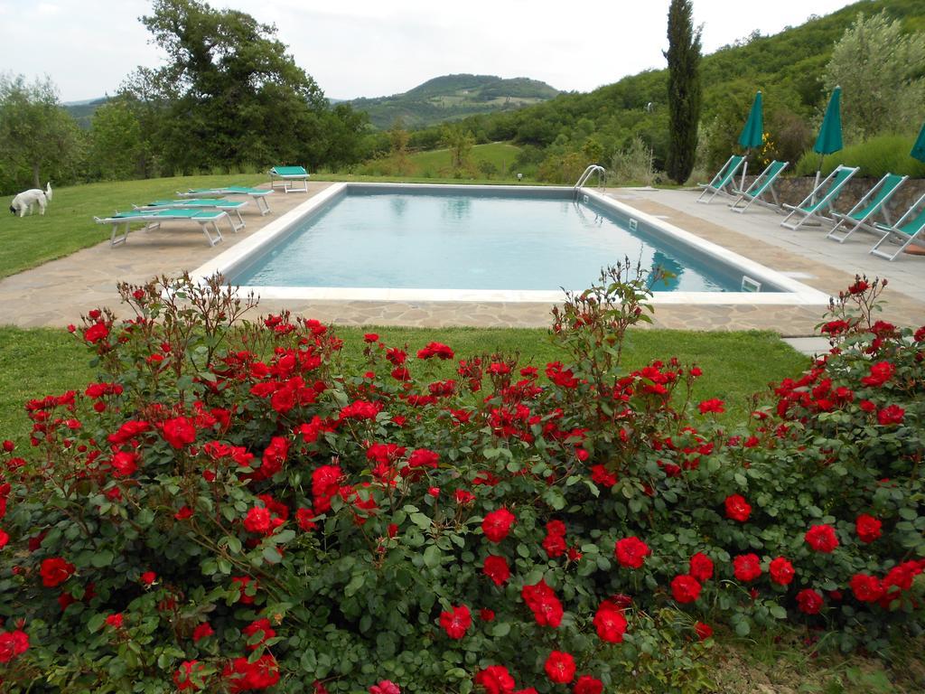 Willa Agriturismo Erta Casole dʼElsa Zewnętrze zdjęcie