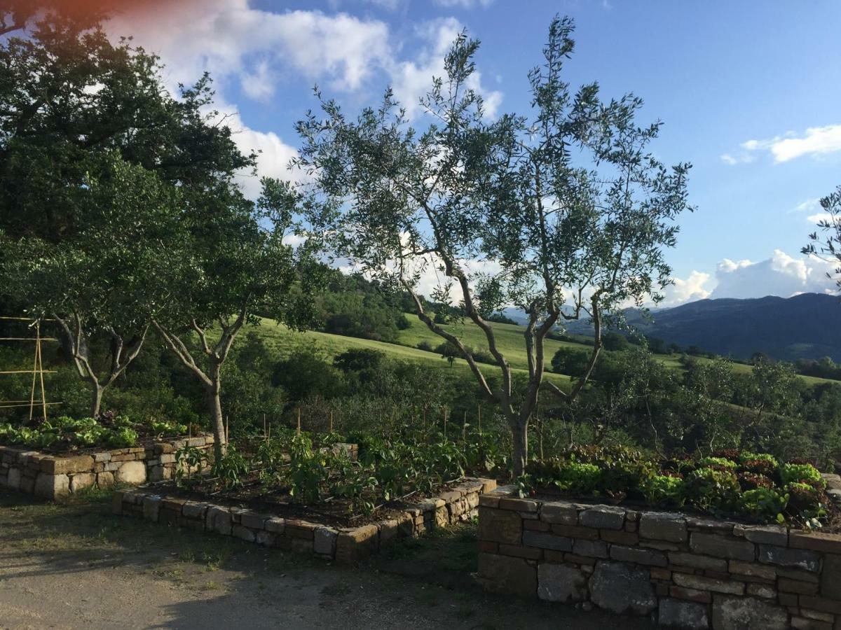 Willa Agriturismo Erta Casole dʼElsa Zewnętrze zdjęcie